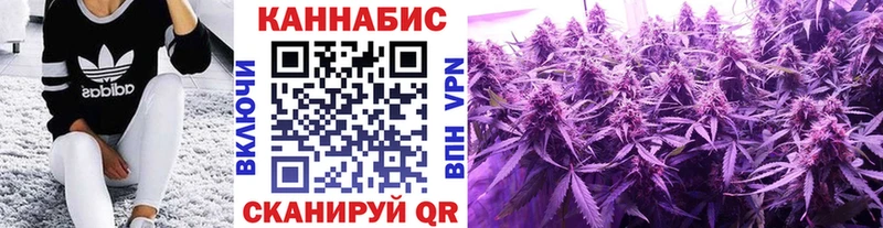 Магазины продажи наркотиков Суджа Кокаин  Меф  МДМА  Бошки Шишки  КЕТАМИН  Гашиш  СК  Галлюциногенные грибы 