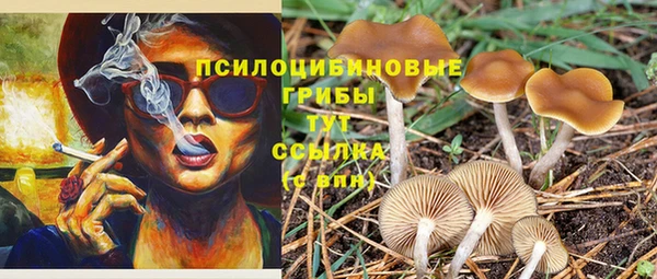 шишки Покров