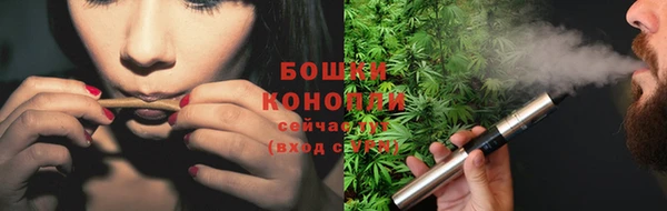 шишки Покров