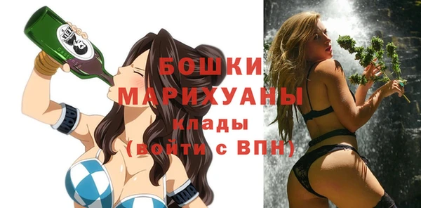шишки Покров