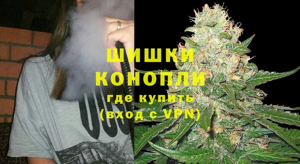 шишки Покров