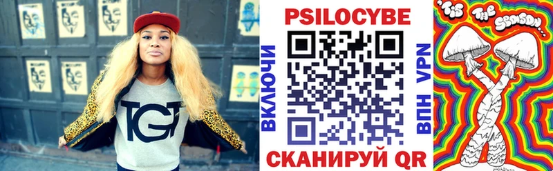 Псилоцибиновые грибы Psilocybe  Суджа 